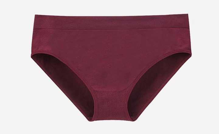 Areke Women’s Seamless Bikini Underwear or Cheekini Hipster Briefs