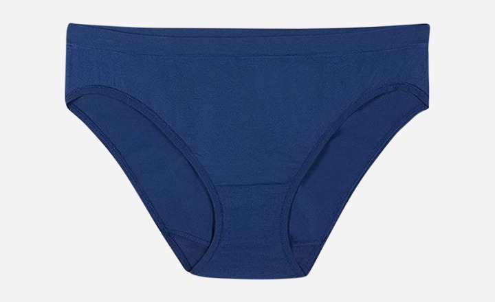 Fruit of the Loom Women's Seamless Underwear
